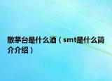 散茅台是什么酒（smt是什么简介介绍）