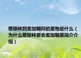 穆斯林到麦加朝拜的圣物是什么（为什么穆斯林要去麦加朝圣简介介绍）