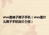 vivo是啥子牌子手机（vivo是什么牌子手机简介介绍）
