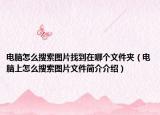 电脑怎么搜索图片找到在哪个文件夹（电脑上怎么搜索图片文件简介介绍）