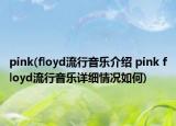 pink(floyd流行音乐介绍 pink floyd流行音乐详细情况如何)