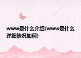 www是什么介绍(www是什么详细情况如何)