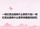 一枝红杏出墙来什么意思介绍(一枝红杏出墙来什么意思详细情况如何)