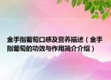 金手指葡萄口感及营养描述（金手指葡萄的功效与作用简介介绍）