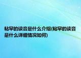 粘罕的读音是什么介绍(粘罕的读音是什么详细情况如何)
