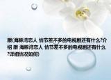 跟(海豚湾恋人 情节差不多的电视剧还有什么?介绍 跟 海豚湾恋人 情节差不多的电视剧还有什么?详细情况如何)