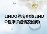 LINDO程序介绍(LINDO程序详细情况如何)