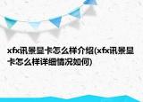 xfx讯景显卡怎么样介绍(xfx讯景显卡怎么样详细情况如何)
