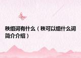 秩组词有什么（秩可以组什么词简介介绍）