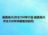我真高兴(作文350字介绍 我真高兴 作文350字详细情况如何)