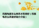 巴西龟要怎么样养才养得好（巴西龟怎么养更好简介介绍）