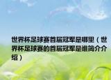 世界杯足球赛首届冠军是哪里（世界杯足球赛的首届冠军是谁简介介绍）