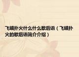 飞蛾扑火什么什么歇后语（飞蛾扑火的歇后语简介介绍）