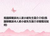我国朦胧派诗人梁小斌先生简介介绍(我国朦胧派诗人梁小斌先生简介详细情况如何)