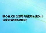 唯心主义什么意思介绍(唯心主义什么意思详细情况如何)