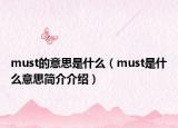 must的意思是什么（must是什么意思简介介绍）