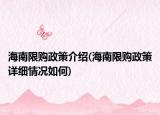 海南限购政策介绍(海南限购政策详细情况如何)