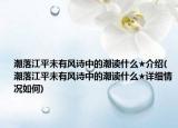 潮落江平未有风诗中的潮读什么★介绍(潮落江平未有风诗中的潮读什么★详细情况如何)