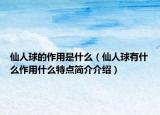 仙人球的作用是什么（仙人球有什么作用什么特点简介介绍）