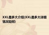 XXL是多大介绍(XXL是多大详细情况如何)