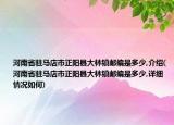 河南省驻马店市正阳县大林镇邮编是多少,介绍(河南省驻马店市正阳县大林镇邮编是多少,详细情况如何)