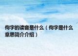 佝字的读音是什么（佝字是什么意思简介介绍）