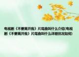 电视剧《不要离开我》片尾曲叫什么介绍(电视剧《不要离开我》片尾曲叫什么详细情况如何)