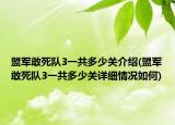 盟军敢死队3一共多少关介绍(盟军敢死队3一共多少关详细情况如何)