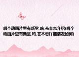 哪个动画片里有新堂,鸣,苍本恋介绍(哪个动画片里有新堂,鸣,苍本恋详细情况如何)