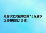 光遇水之灵在哪里找?（光遇水之灵在哪简介介绍）