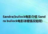 Sandra(bullock电影介绍 Sandra bullock电影详细情况如何)
