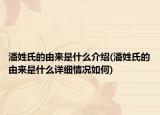 潘姓氏的由来是什么介绍(潘姓氏的由来是什么详细情况如何)