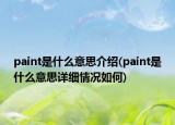 paint是什么意思介绍(paint是什么意思详细情况如何)