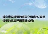 披心腹见情愫的意思介绍(披心腹见情愫的意思详细情况如何)