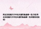 熊出没动画片片中光头强钓鱼是哪一集介绍(熊出没动画片片中光头强钓鱼是哪一集详细情况如何)