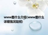 www是什么介绍(www是什么详细情况如何)