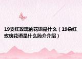 19支红玫瑰的花语是什么（19朵红玫瑰花语是什么简介介绍）
