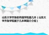 山东大学齐鲁软件园学院是几本（山东大学齐鲁学院属于几本啊简介介绍）