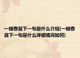 一畦春韭下一句是什么介绍(一畦春韭下一句是什么详细情况如何)