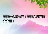 芙蓉什么季节开（芙蓉几月开简介介绍）