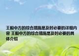王毅中方的综合措施是及时必要的详细内容 王毅中方的综合措施是及时必要的具体介绍