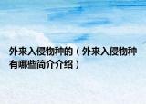 外来入侵物种的（外来入侵物种有哪些简介介绍）