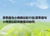 茶隼级与小鹰级比较介绍(茶隼级与小鹰级比较详细情况如何)