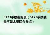 5173手续费好贵（5173手续费是不是太贵简介介绍）