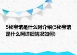 5秘宝馆是什么阿介绍(5秘宝馆是什么阿详细情况如何)