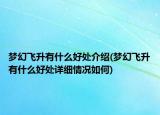 梦幻飞升有什么好处介绍(梦幻飞升有什么好处详细情况如何)