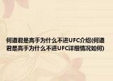 何道君是高手为什么不进UFC介绍(何道君是高手为什么不进UFC详细情况如何)
