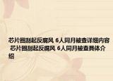 芯片圈刮起反腐风 6人同月被查详细内容 芯片圈刮起反腐风 6人同月被查具体介绍