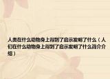 人类在什么动物身上得到了启示发明了什么（人们在什么动物身上得到了启示发明了什么简介介绍）
