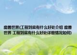 魔兽世界(工程到底有什么好处介绍 魔兽世界 工程到底有什么好处详细情况如何)
